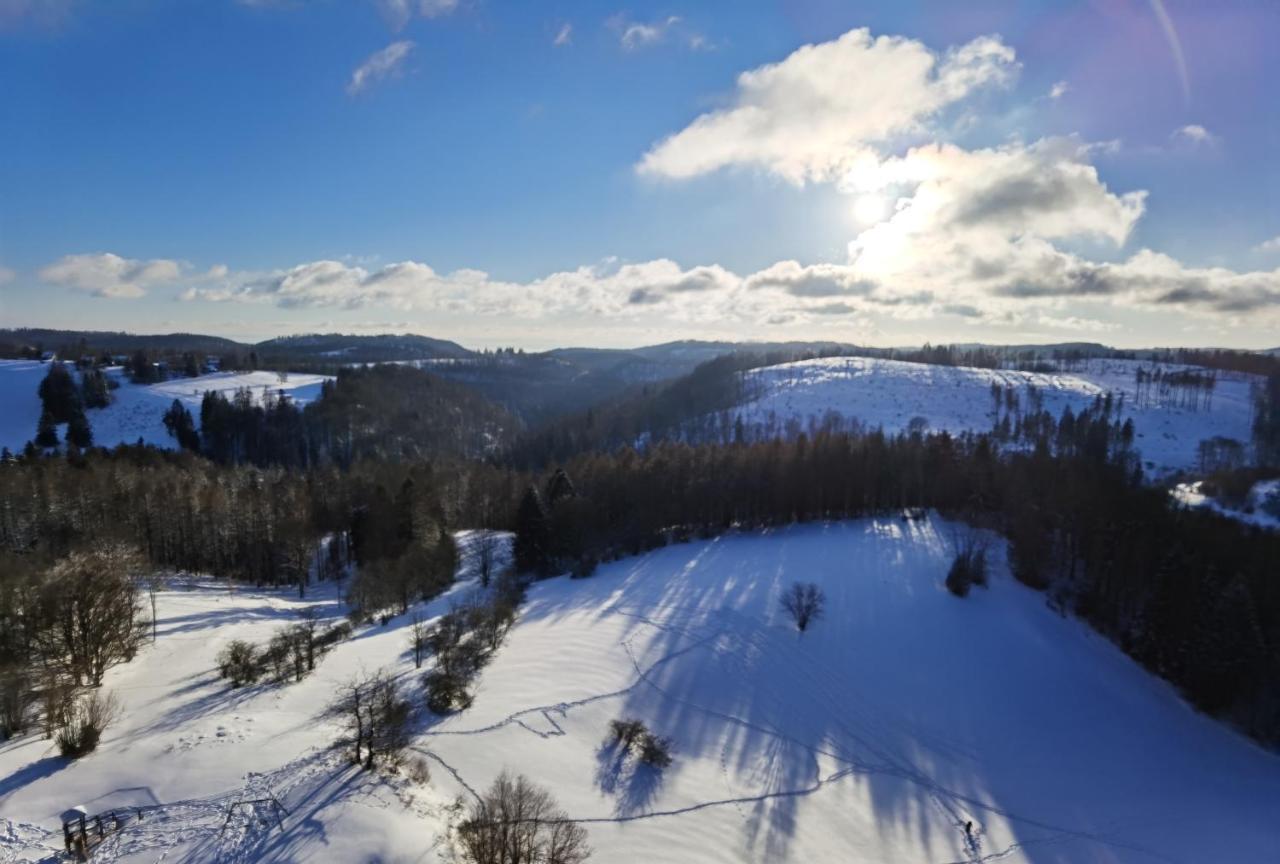 Penthouse Harz-Traum 372 Lejlighed Hohegeiß Eksteriør billede