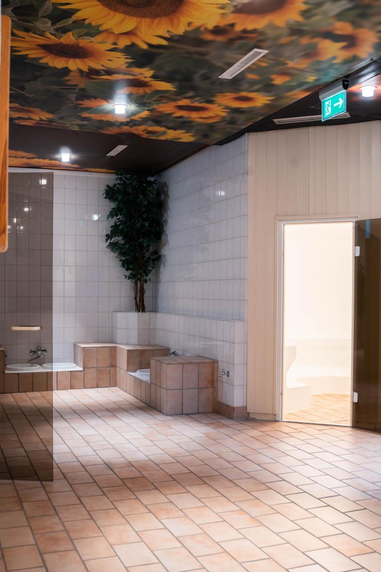 Penthouse Harz-Traum 372 Lejlighed Hohegeiß Eksteriør billede